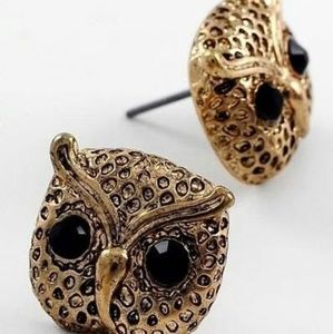 LAST CHANCE SALE!! Owl Stud Earrings
